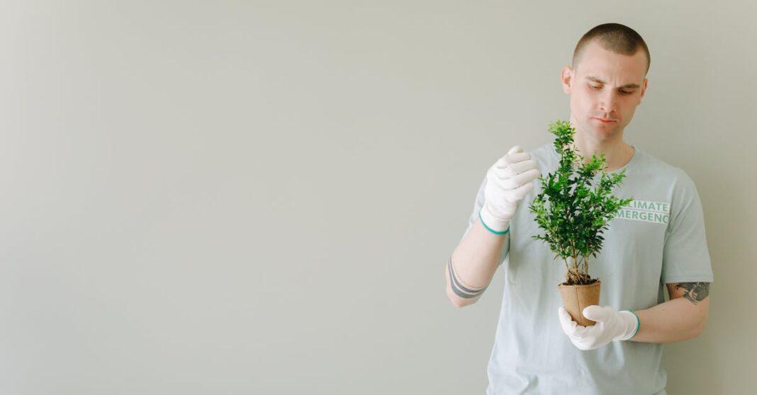 découvrez comment prendre soin d'une calathea : conseils d'entretien, arrosage, lumière, humidité et astuces pour des feuilles en parfaite santé toute l'année.