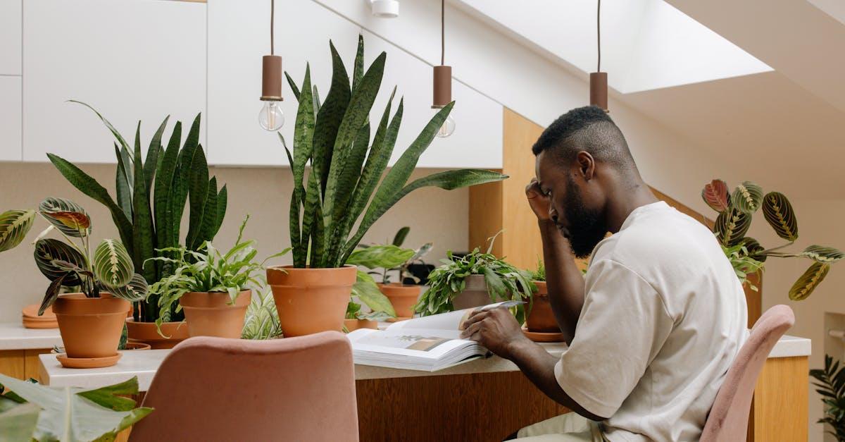 découvrez tous les conseils pour entretenir une calathea : arrosage, exposition, rempotage, température idéale et astuces pour garder votre plante d'intérieur belle et en bonne santé toute l'année.