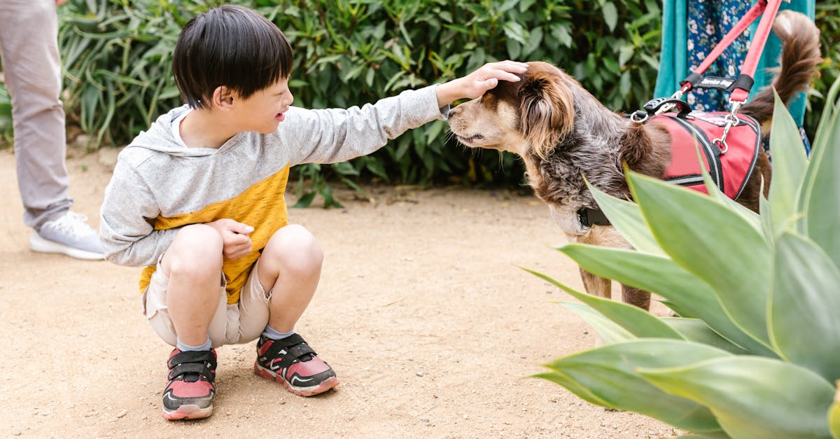 guide complet pour entretenir les plantes carnivores : arrosage, lumière, substrat, rempotage et hivernage. astuces simples pour des plantes en pleine santé.