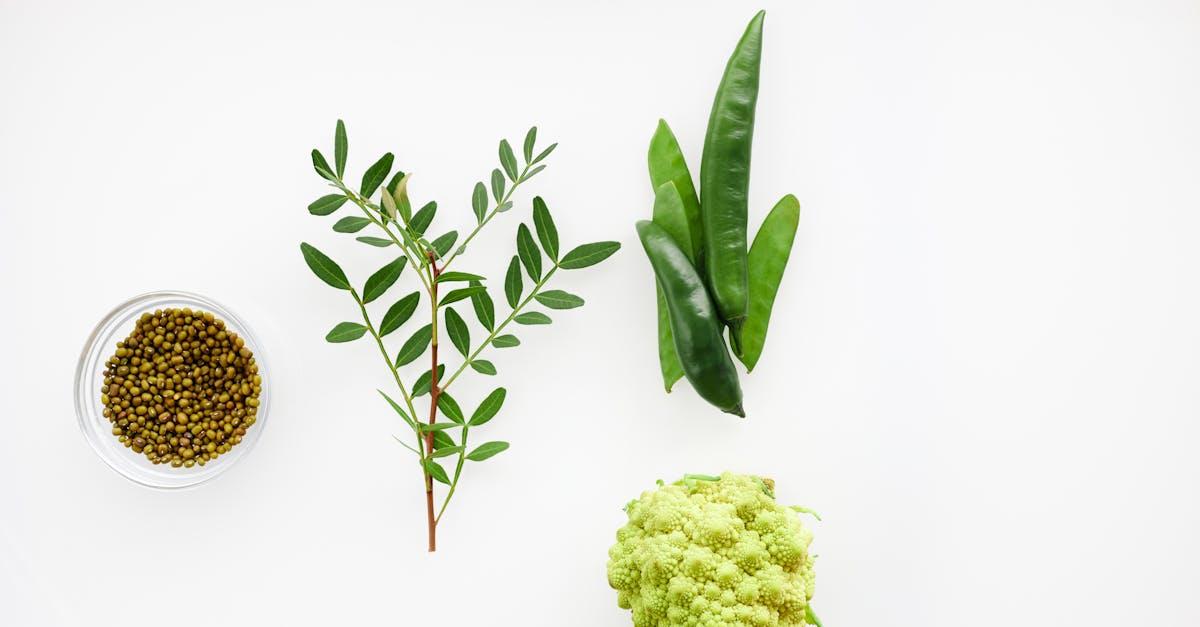 découvrez les bienfaits du chou-fleur, un légume polyvalent et nutritif. apprenez à lincorporer dans vos recettes, ses valeurs nutritionnelles et ses astuces de préparation pour une alimentation saine et savoureuse.