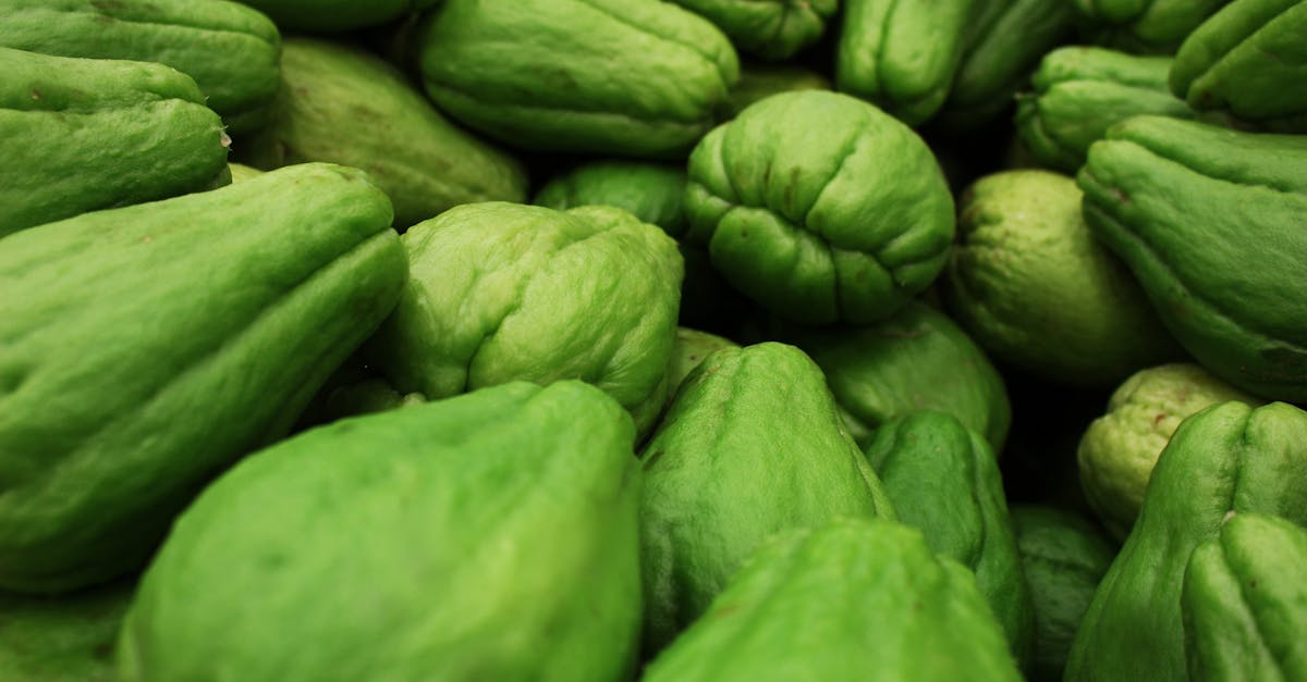 découvrez la chayote, un légume exotique riche en nutriments. apprenez à la cuisiner, ses bienfaits pour la santé et comment l’intégrer à vos recettes pour varier vos menus.
