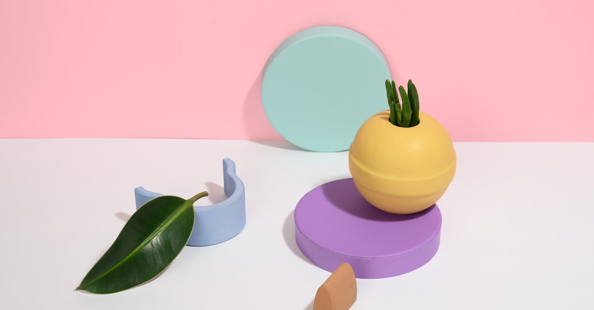 découvrez les crassulas, des plantes succulentes faciles d'entretien, idéales pour la décoration intérieure. apprenez à les cultiver, les arroser et profitez de leur beauté originale toute l'année.