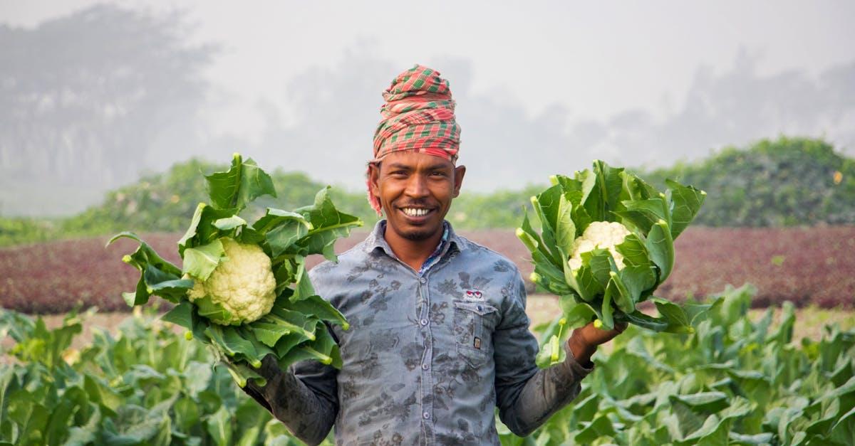 découvrez l'art de la cultivation : techniques, conseils et astuces pour réussir la culture de plantes et améliorer votre jardin ou potager. apprenez à cultiver facilement et durablement.