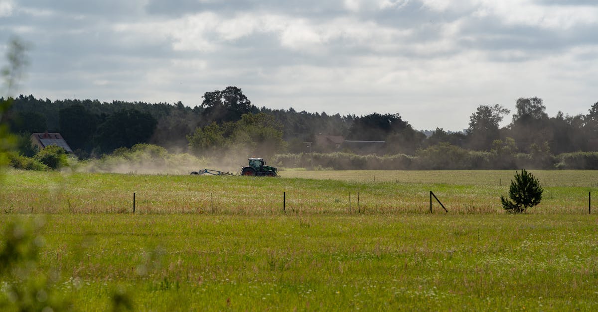 découvrez tout sur la cultivation : techniques, conseils et bonnes pratiques pour réussir la culture des plantes, fruits et légumes, que vous soyez débutant ou passionné de jardinage.