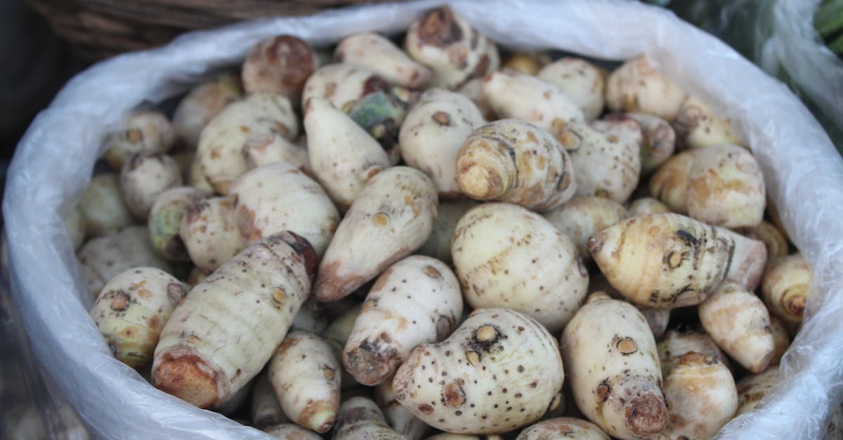 découvrez des légumes exotiques aux saveurs uniques, parfaits pour apporter originalité et couleur à vos recettes et explorer de nouveaux horizons culinaires.