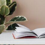 Le ficus lyrata : guide d'entretien et astuces de culture découvrez tout ce qu'il faut savoir sur le ficus : conseils d'entretien, variétés populaires, astuces pour favoriser sa croissance et solutions aux problèmes courants de cette plante d'intérieur incontournable.