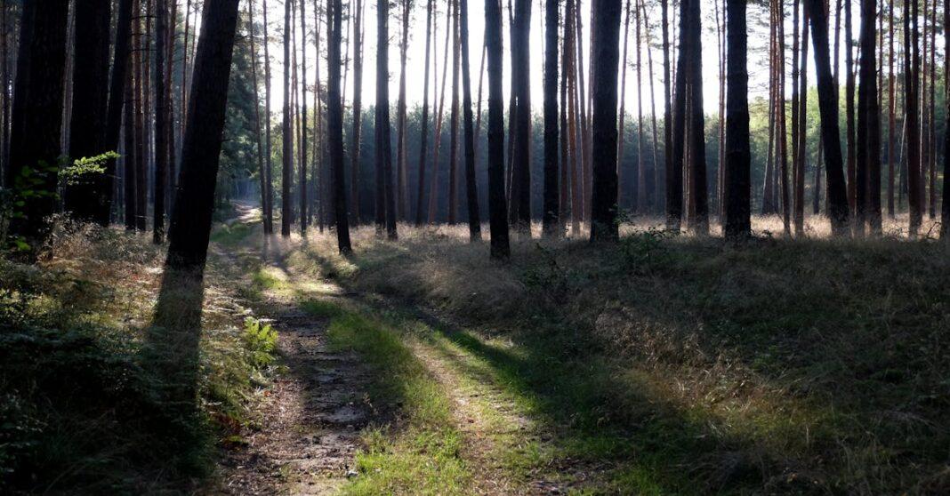 découvrez des conseils et astuces pour réussir à faire grandir vos projets, développer vos compétences ou cultiver votre croissance personnelle et professionnelle.