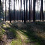 découvrez des conseils et astuces pour réussir à faire grandir vos projets, développer vos compétences ou cultiver votre croissance personnelle et professionnelle.