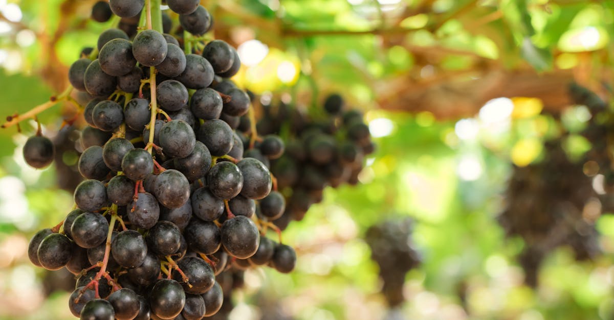 découvrez comment favoriser la croissance personnelle et professionnelle grâce à des astuces pratiques et des conseils éprouvés pour réussir votre développement.