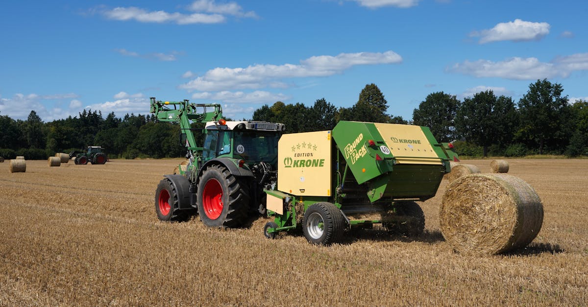 découvrez les meilleures pratiques de harvesting : techniques, outils et conseils pour optimiser vos récoltes agricoles, améliorer la productivité et préserver l’environnement.