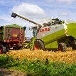 Comment récolter les salades cultivées dans votre jardin découvrez tout sur le harvesting, une technique clé pour collecter et exploiter efficacement des ressources ou de l'information, que ce soit en agriculture, finance, ou data science.