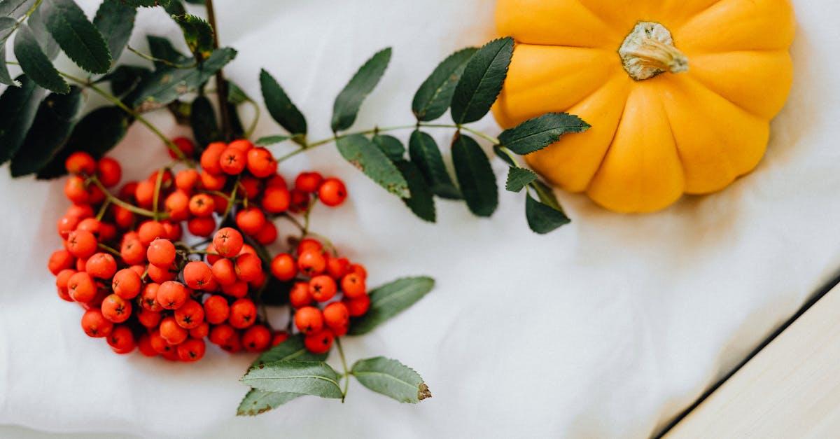 découvrez les bienfaits de l'aubépine (hawthorn) pour la santé, ses propriétés médicinales, et comment l'intégrer dans votre quotidien pour améliorer votre bien-être.