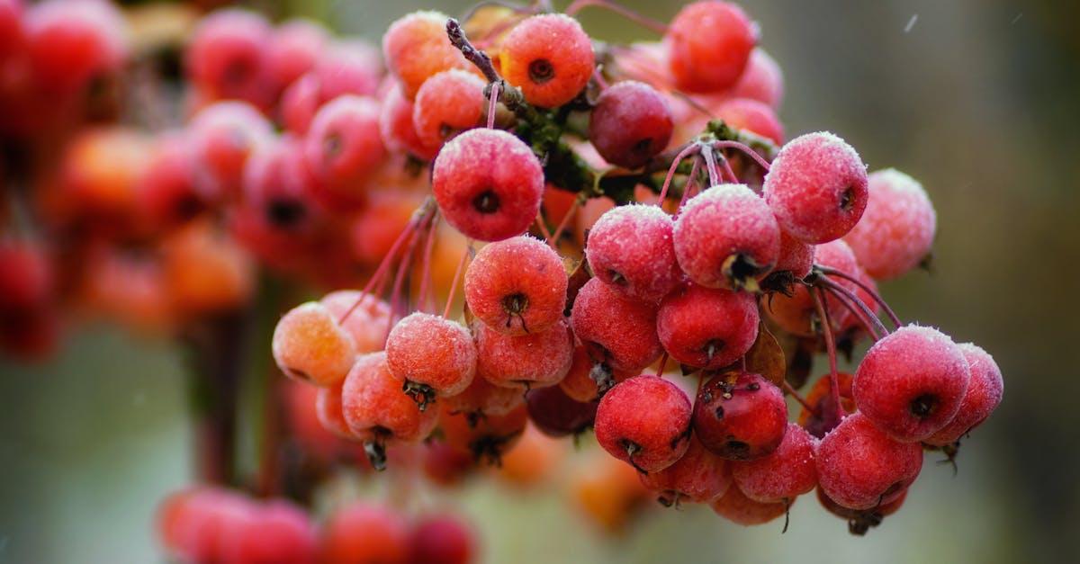 découvrez les bienfaits de l’aubépine, une plante médicinale reconnue pour soutenir la santé cardiovasculaire, apaiser le stress et favoriser la détente. conseils d’utilisation, précautions et propriétés détaillées.