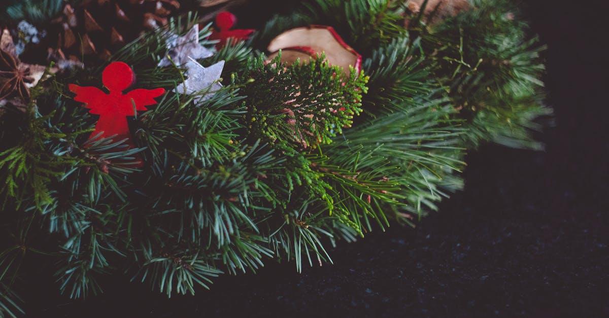 découvrez tout ce qu'il faut savoir sur holly : origines, significations, utilisations et conseils pratiques pour mieux comprendre ce prénom et ses particularités.