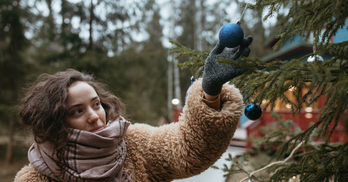 découvrez tout sur holly : son origine, ses significations, et son influence dans la culture. retrouvez des conseils, des anecdotes et des informations complètes sur le prénom holly.