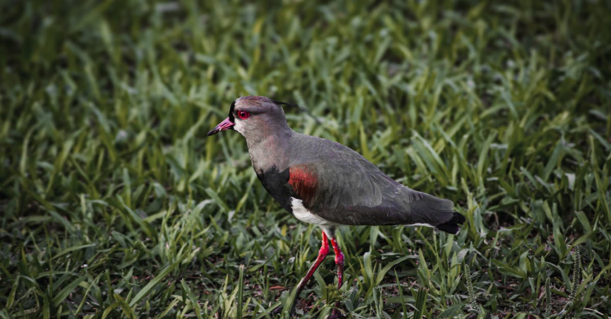 découvrez le monde fascinant de jay, une personnalité captivante qui se distingue par son charisme et son talent. plongez dans son univers unique et laissez-vous inspirer par ses expériences et sa créativité.