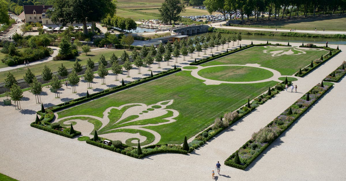découvrez le jardinage lunaire : une méthode naturelle qui consiste à semer, planter et récolter en fonction des phases de la lune pour optimiser la croissance et la santé de vos plantes.