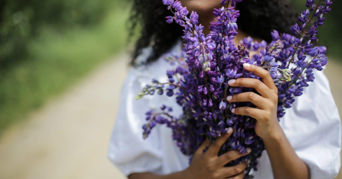 découvrez le monde fascinant des lupins, ces fleurs vibrantes aux couleurs éclatantes. apprenez tout sur leurs différentes variétés, leurs besoins en culture et les bienfaits qu'ils apportent à votre jardin. plongez dans l'univers des lupins et embellissez votre espace extérieur.