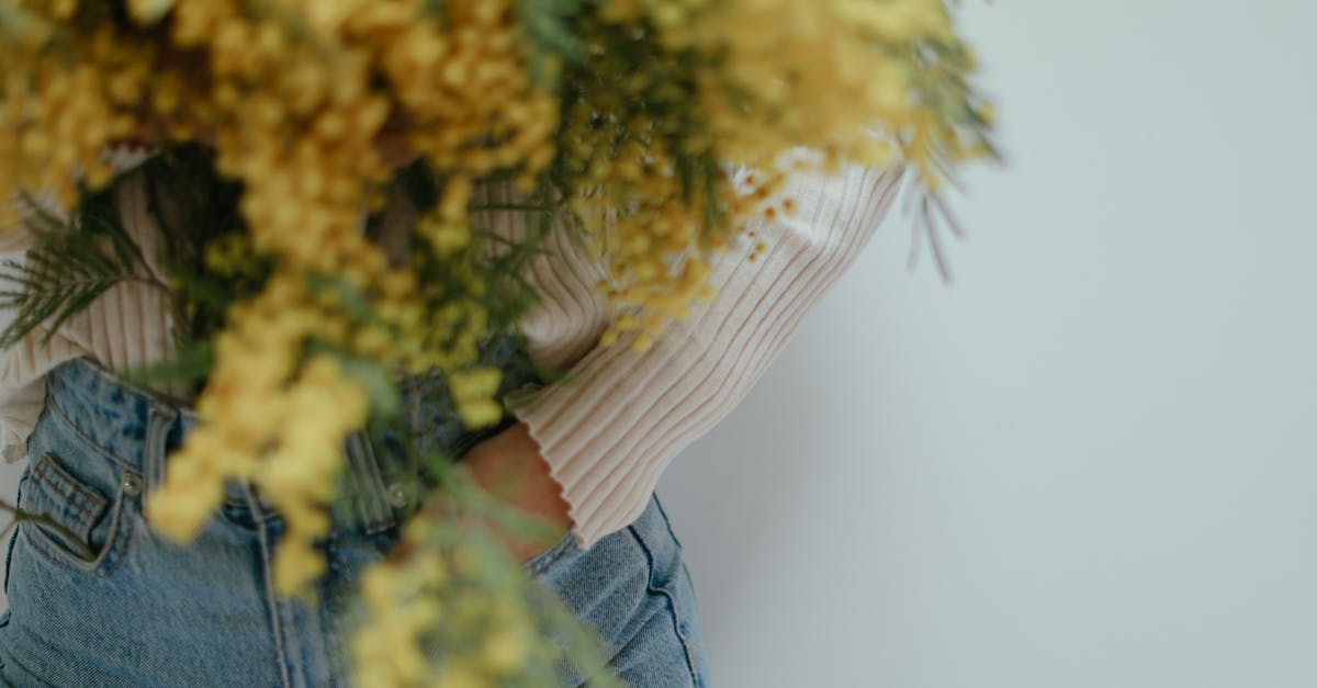 découvrez le mimosa : plante aux fleurs jaunes éclatantes, symbole du printemps et de la côte d’azur. conseils de culture, entretien et idées déco pour profiter pleinement de cette plante lumineuse dans votre jardin ou intérieur.