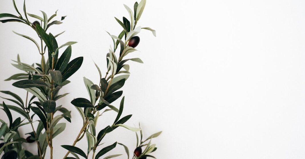 découvrez comment créer un jardin méditerranéen moderne avec des plantes adaptées, des aménagements élégants et des conseils d'entretien pour un espace extérieur convivial et tendance.