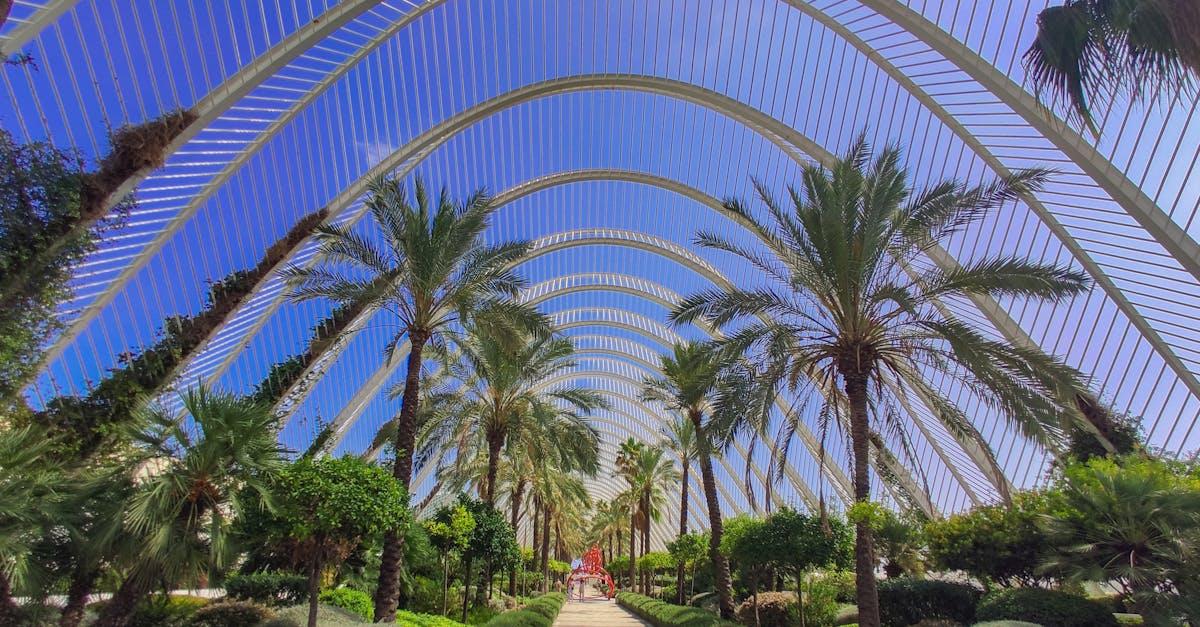 découvrez comment créer un jardin méditerranéen moderne, alliant plantes typiques, aménagement minimaliste et espaces conviviaux pour un extérieur tendance et facile à entretenir.