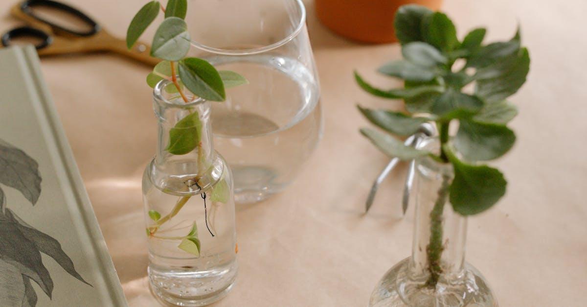 découvrez les enjeux de la propagation à travers les différentes disciplines, qu'il s'agisse de la science, des technologies ou des phénomènes naturels. apprenez comment les concepts de propagation influencent notre monde et notre quotidien.