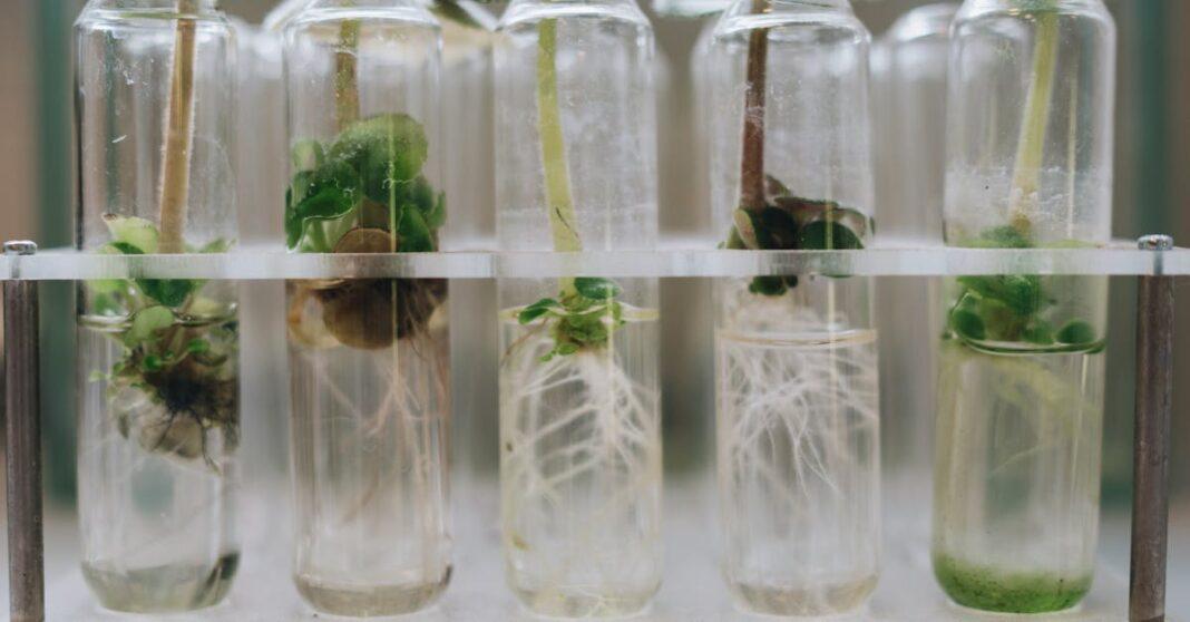 découvrez les différentes facettes de la propagation, un phénomène crucial en sciences et en communication. comprenez ses mécanismes, ses applications et son impact sur notre quotidien.