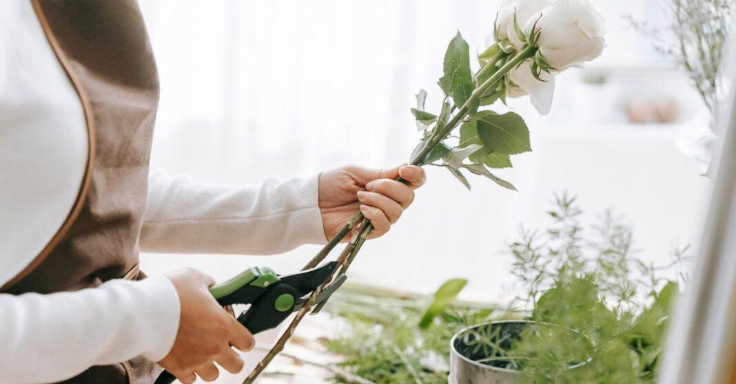 découvrez les techniques de pruning pour entretenir vos plantes, améliorer leur croissance et favoriser une floraison abondante. conseils d’experts et astuces pratiques pour réussir la taille de vos arbustes, arbres et jardins.