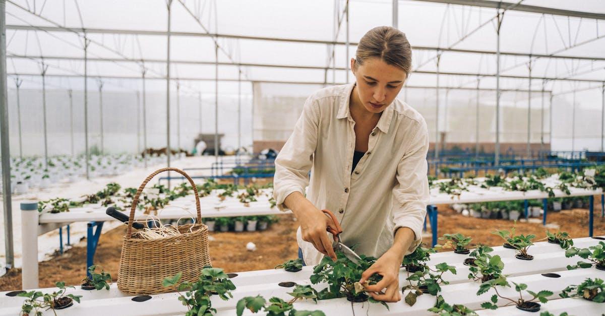 découvrez l'art de la taille des plantes avec nos conseils pratiques sur le pruning. apprenez à stimuler la croissance, améliorer la santé des végétaux et embellir votre jardin grâce à des techniques de taille adaptées.