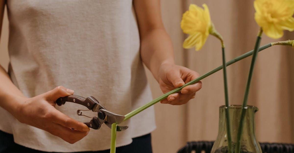 découvrez l'art de la taille des plantes avec notre guide complet sur le pruning. apprenez les techniques essentielles pour entretenir vos jardins et optimiser la croissance de vos végétaux. idéal pour les jardiniers amateurs et professionnels.