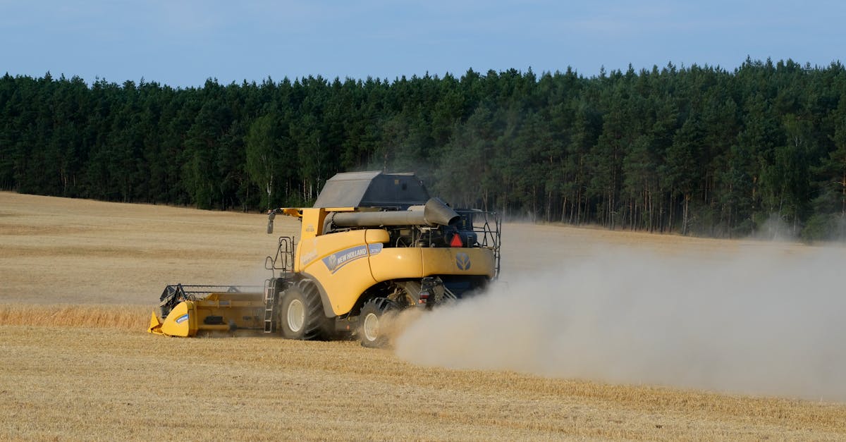 découvrez comment cultiver le quinoa, une plante nutritive et facile à entretenir. apprenez les étapes essentielles, du semis à la récolte, pour réussir votre culture de quinoa dans votre jardin.