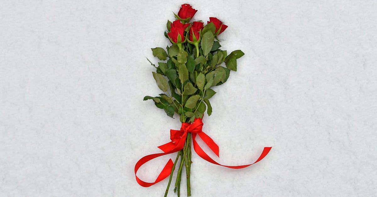 découvrez tout sur les roses : signification, variétés, couleurs et conseils pour choisir ou cultiver ces fleurs emblématiques, symboles de beauté et d'amour éternel.