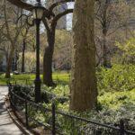 Des variétés éclatantes pour animer un parterre ombragé découvrez comment aménager un shade garden, un jardin d’ombre idéal pour cultiver des plantes adaptées et créer un espace verdoyant et apaisant, même dans les coins peu ensoleillés de votre extérieur.