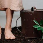 Les méthodes efficaces pour revitaliser un sol appauvri découvrez comment la régénération des sols améliore la fertilité, préserve l'environnement et favorise une agriculture durable. conseils et techniques pour revitaliser vos terres efficacement.