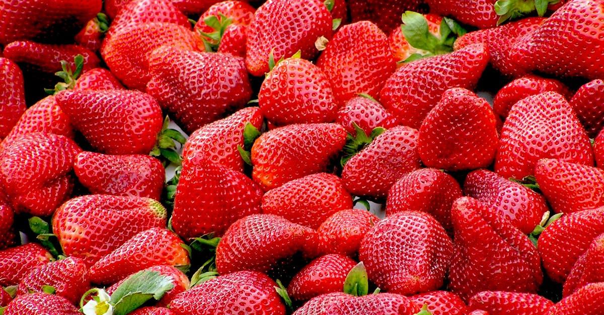 découvrez tout sur la fraise : ses bienfaits pour la santé, comment la choisir, la conserver et l'utiliser en cuisine avec nos conseils et recettes gourmandes.