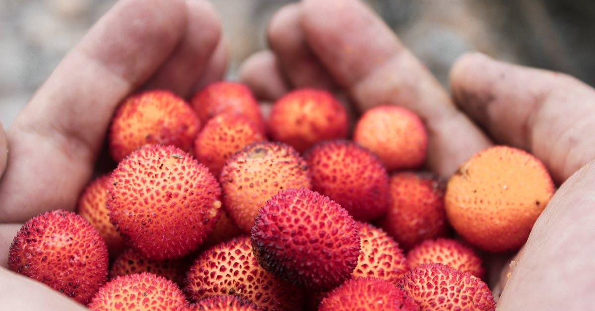 découvrez le strawberry tree, un arbre fruitier unique connu pour ses délicieuses baies rouges et ses multiples bienfaits pour la santé. explorez ses usages, sa culture et ses particularités.