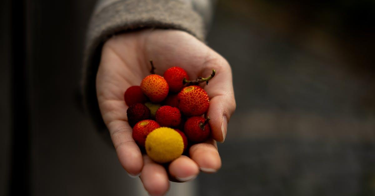 découvrez le strawberry tree, un arbre fruitier méditerranéen apprécié pour ses fruits rouges savoureux et ses vertus décoratives. idéal pour le jardin, il offre beauté et gourmandise toute l'année.