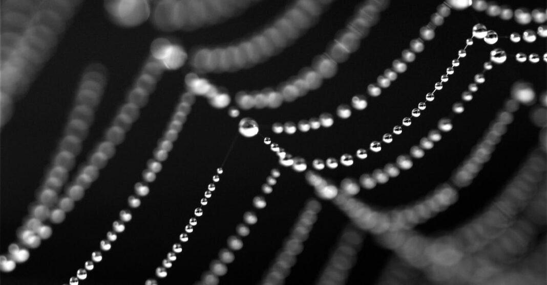 découvrez la signification et l'élégance du collier « string of pearls », un bijou classique composé de perles soigneusement sélectionnées qui sublime toutes les tenues avec raffinement.