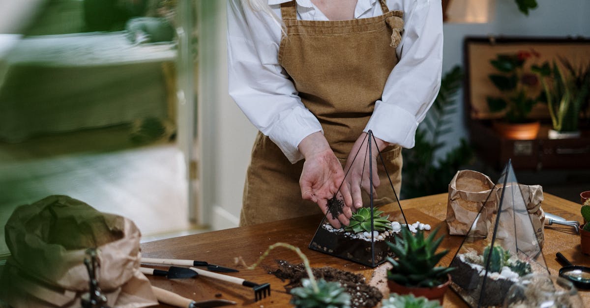 découvrez l'univers enchanteur des terrariums ! apprenez à créer et entretenir ces petits jardins de verre qui apportent une touche de nature à votre intérieur. explorez des conseils pratiques, des inspirations et des idées pour personnaliser votre terrarium.