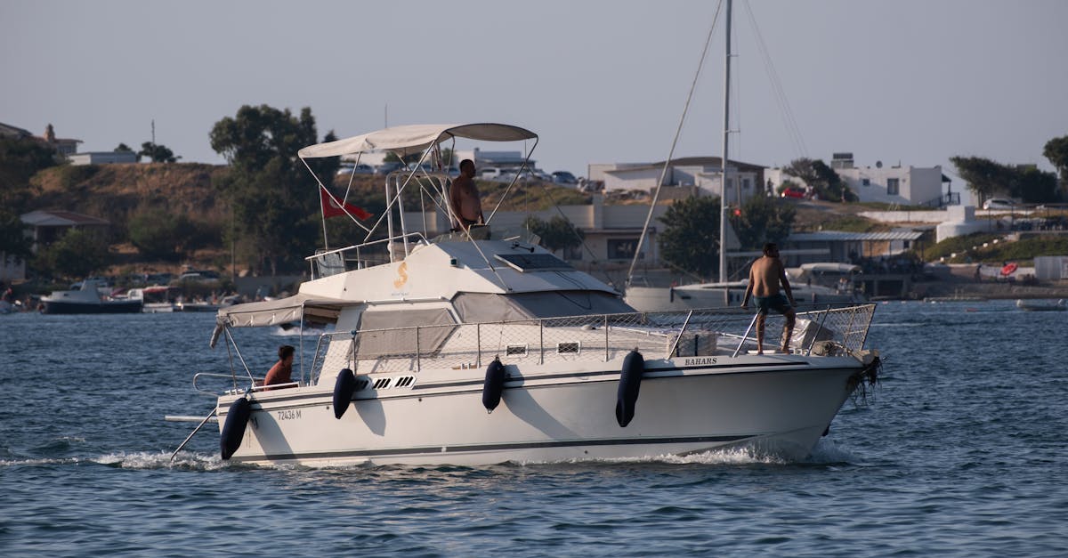 découvrez le monde fascinant de la pêche à la vigne. apprenez les techniques, les meilleures saisons et les astuces pour attraper des poissons tout en profitant de la nature. parfait pour les amateurs de pêche souhaitant explorer de nouvelles expériences en plein air.