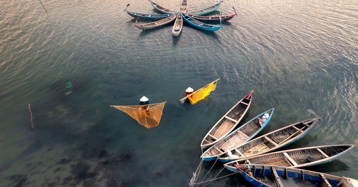 découvrez l'art de la pêche à la vigne, une activité passionnante qui allie la découverte des paysages viticoles et la pêche. apprenez les meilleures techniques, les équipements nécessaires et les spots idéaux pour profiter pleinement de cette expérience unique au cœur des vignes.