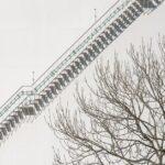 Réussir la culture du chèvrefeuille d'hiver : conseils et astuces découvrez le winter honeysuckle, un chèvrefeuille d’hiver au parfum délicat qui fleurit même par temps froid. apprenez comment le cultiver et profiter de sa floraison hivernale dans votre jardin.