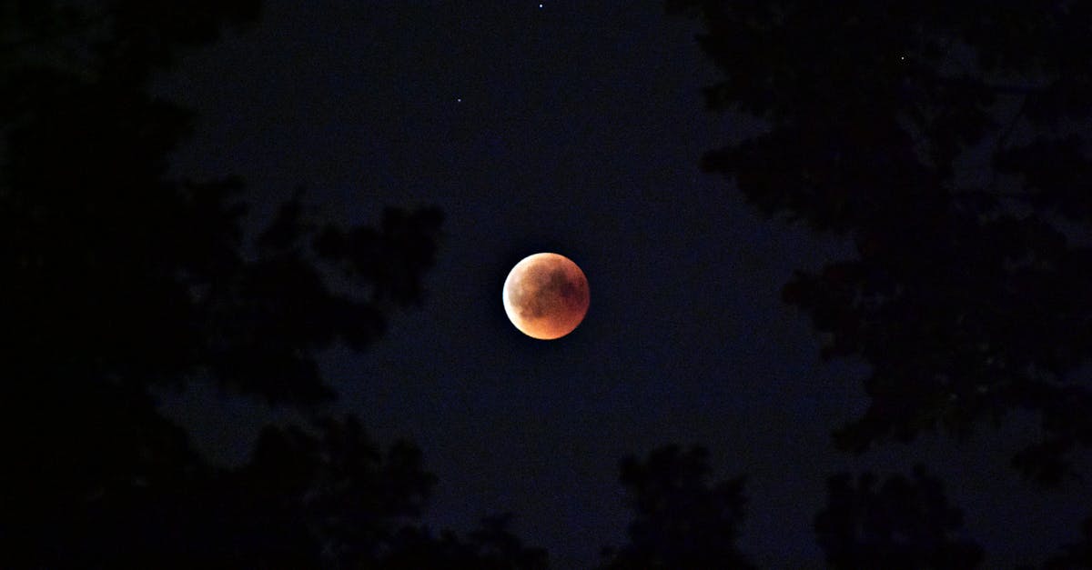 découvrez ce qu'est la blood moon, un phénomène lunaire rare où la lune prend une teinte rouge éclatante. apprenez-en plus sur ses causes, sa signification culturelle et quand observer la prochaine éclipse lunaire sanglante.