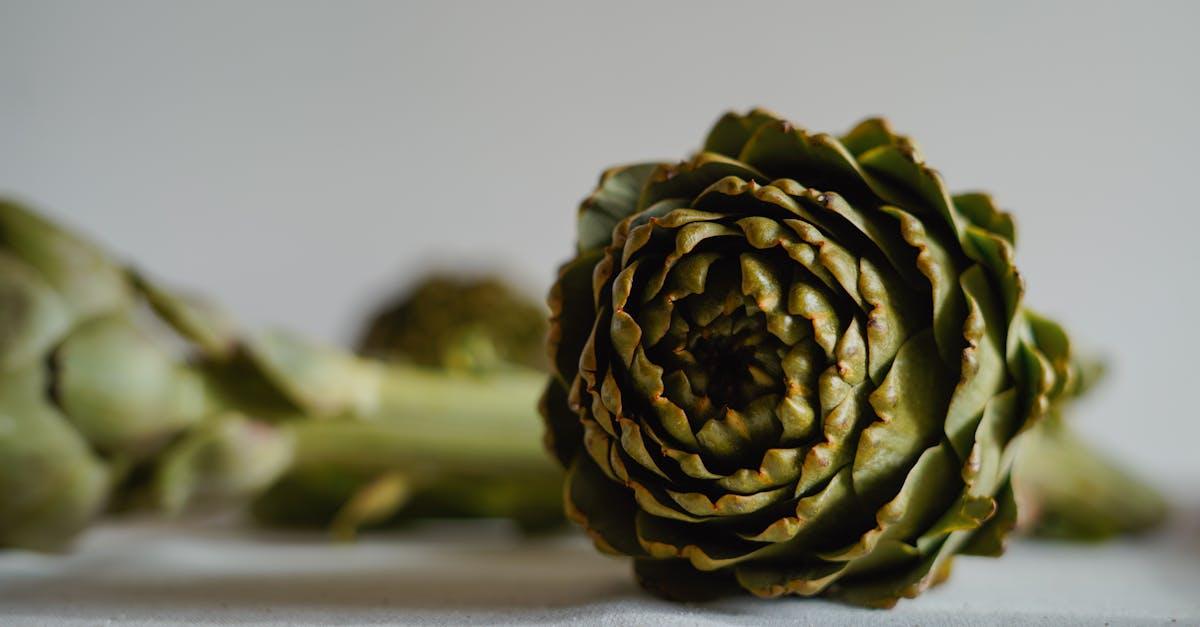 découvrez le cardon, un légume méditerranéen cousin de l’artichaut, apprécié pour sa saveur délicate et ses bienfaits nutritionnels. conseils de préparation, recettes et astuces pour profiter du cardoon en cuisine.