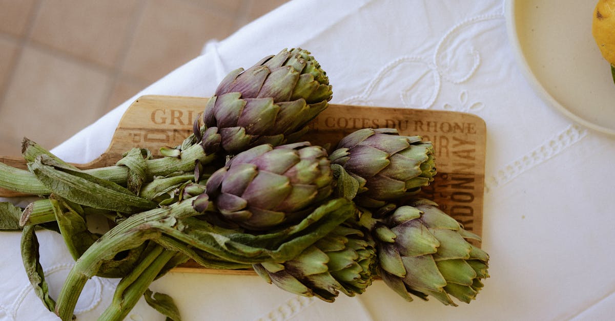 découvrez le cardon, un légume ancien au goût subtil, parfait pour des recettes méditerranéennes saines et originales. apprenez ses bienfaits et conseils de préparation.