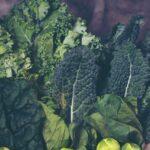 découvrez tout ce qu'il faut savoir sur le chard, aussi appelé bette : ses bienfaits nutritionnels, ses utilisations en cuisine et des astuces pour le cultiver facilement dans votre jardin.