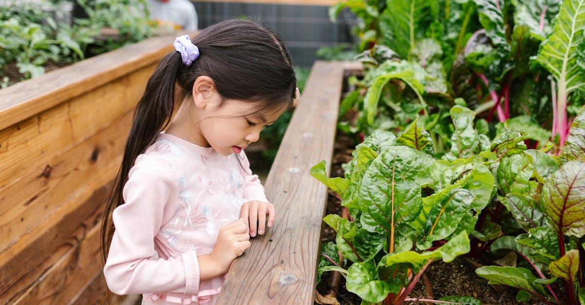 découvrez tout sur la bette, également connue sous le nom de chard : ses bienfaits, ses utilisations en cuisine, ses valeurs nutritionnelles et des conseils pour la cultiver facilement dans votre jardin.
