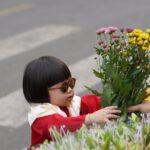 Guide pratique : découvrir les chrysanthèmes dans nos jardins découvrez tout sur les chrysanthèmes : significations, variétés, conseils de culture et entretien pour profiter de ces fleurs éclatantes dans votre jardin ou maison.