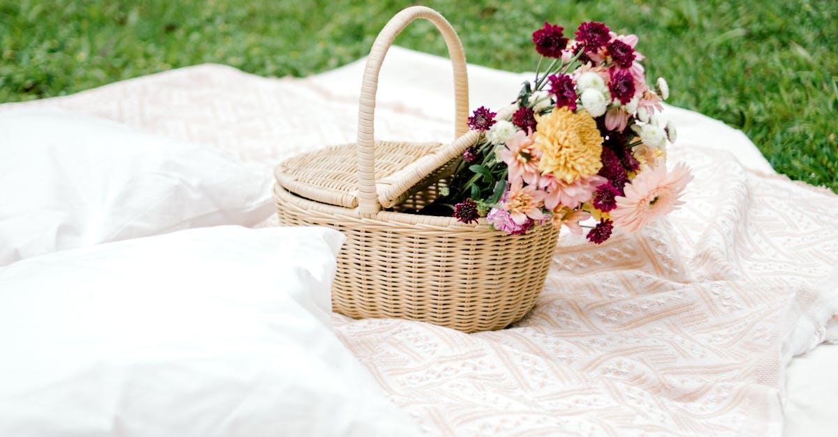 découvrez tout sur les chrysanthèmes : leurs variétés, conseils de culture, entretien et signification. apprenez à embellir votre jardin avec ces fleurs élégantes et colorées.