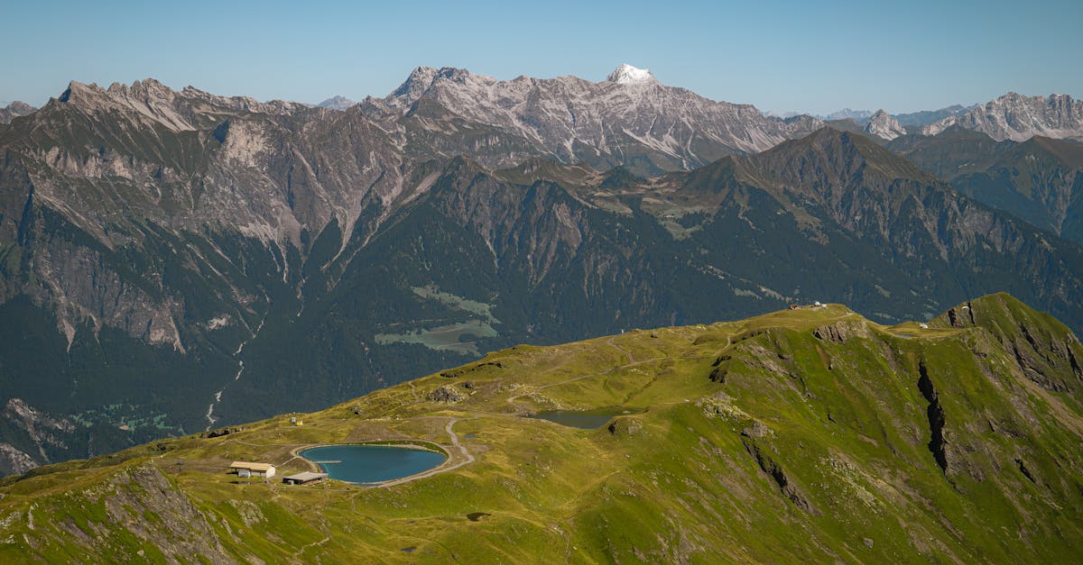 découvrez notre sélection de plantes annuelles grimpantes pour embellir votre jardin. conseils, variétés et astuces pour réussir la culture de climbing annuals facilement chez vous.